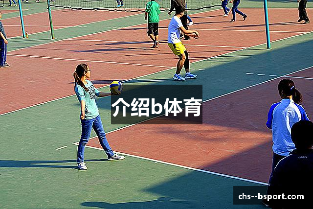 介绍b体育